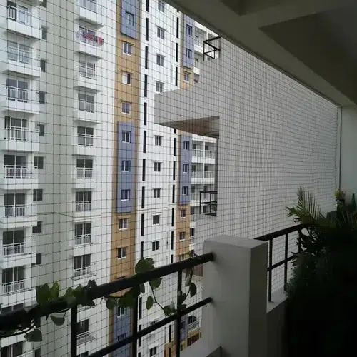 Bird Net for Balcony in Hyderabad and Throughout Telangana