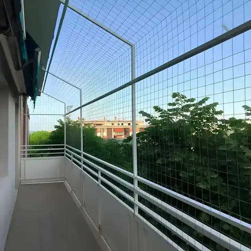 Bird Netting Service in Narsingi and Kokapet - Sri Myra Safety Solutions