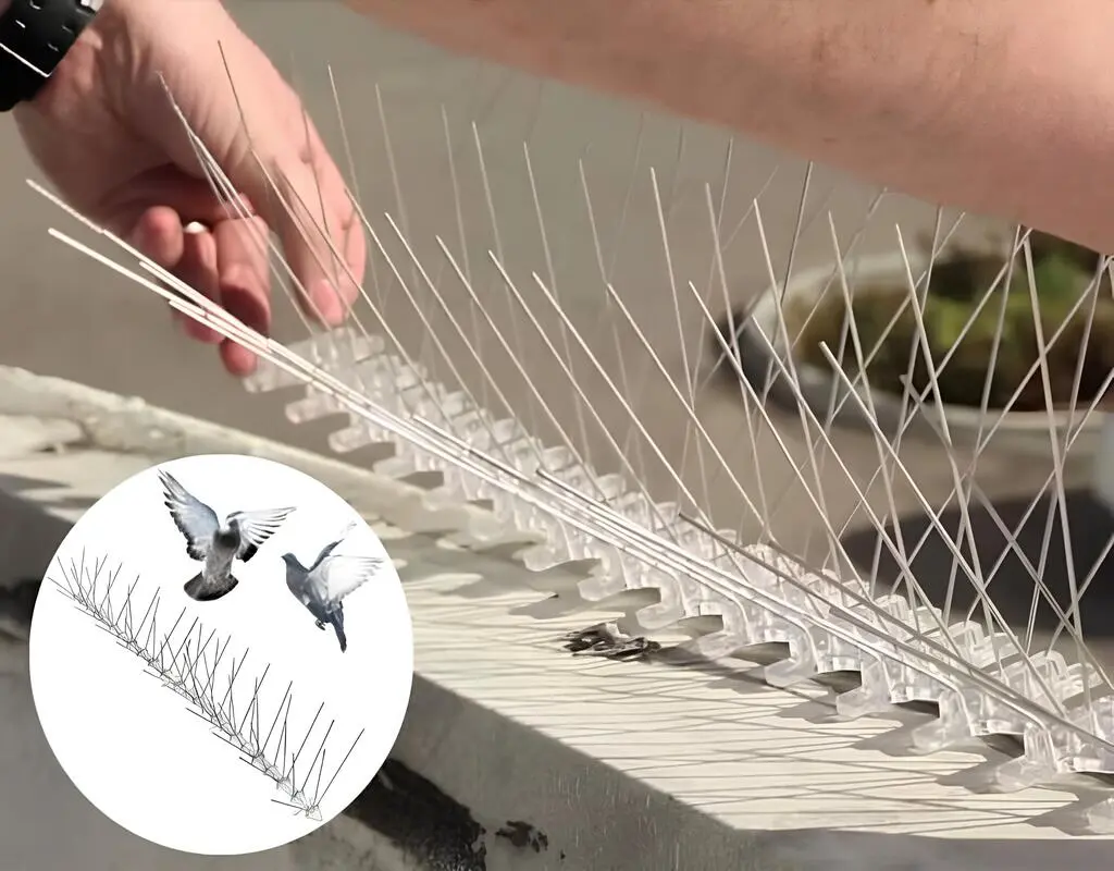Bird Spikes for Pigeons in Hyderabad and Throughout Telangana (4)