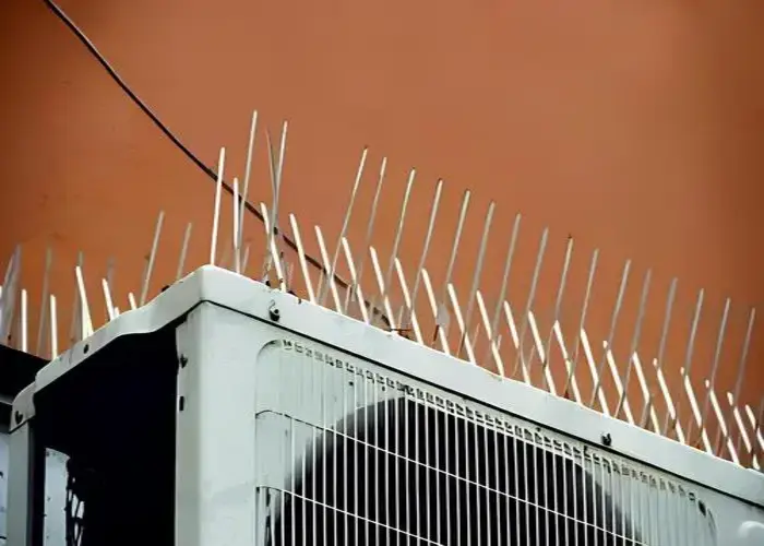 Bird Spikes for Pigeons in Hyderabad and Throughout Telangana (5)
