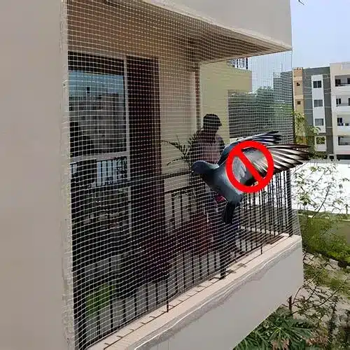 Pigeon Net for Balcony in Hyderabad and Throughout Telangana (2)