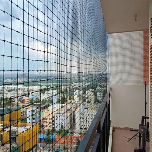 Pigeon Netting Service in Hyderabad and Throughout Telangana (2)