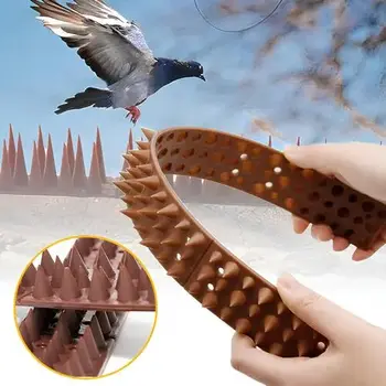 Sri Myra Safety Solutions Bird Spikes Installation