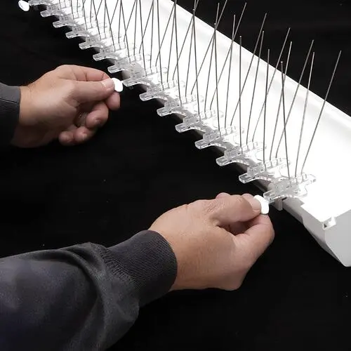 Sri Myra Safety Solutions - Bird Spikes Installation