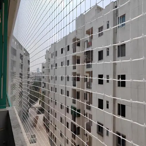 Pigeon Netting Service in Narsingi and Kokapet - Sri Myra Safety Solutions