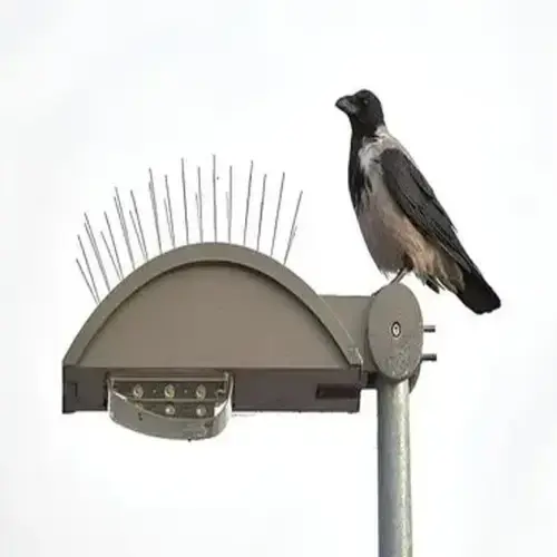 Anti Bird Spikes in Narsingi and Kokapet - Sri Myra Safety Solutions