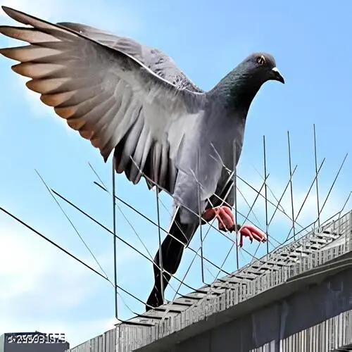 Top Quality Anti Bird Spikes in Narsingi and Kokapet - Sri Myra Safety Solutions