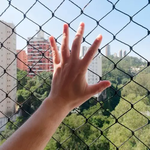 Premium Anti Bird Nets in Jubilee Hills and Banjara Hills