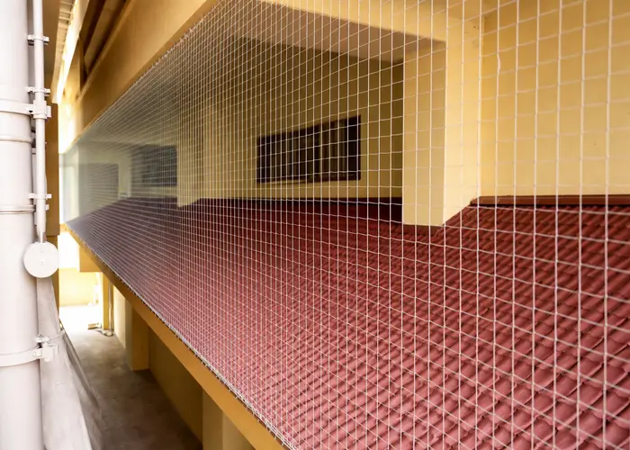 Best Premium Quality Pigeon Safety Nets in Gachibowli and Financial District