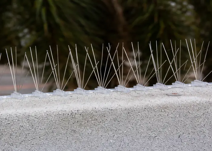 Best Quality Bird Spikes in Gachibowli and Financial District