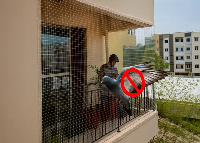 Best Quality Pigeon Safety Nets in Tolichowki and Film Nagar