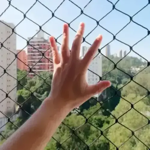 Premium Anti Bird Nets in Tolichowki and Film Nagar