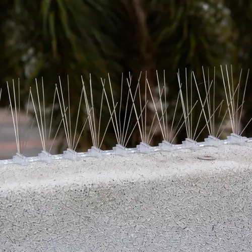 Premium Bird Spikes in Gachibowli and Financial District