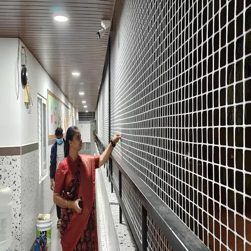 Premium Pigeon Netting Service in Tolichowki and Film Nagar